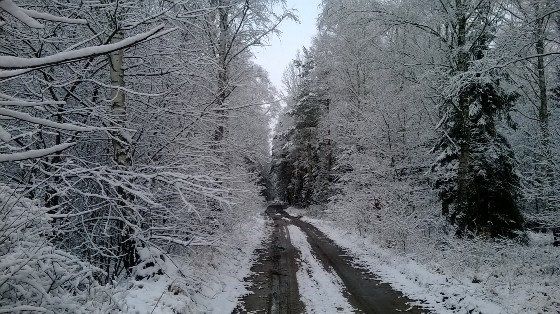 Ferie Zimowe w Puszczy Noteckiej